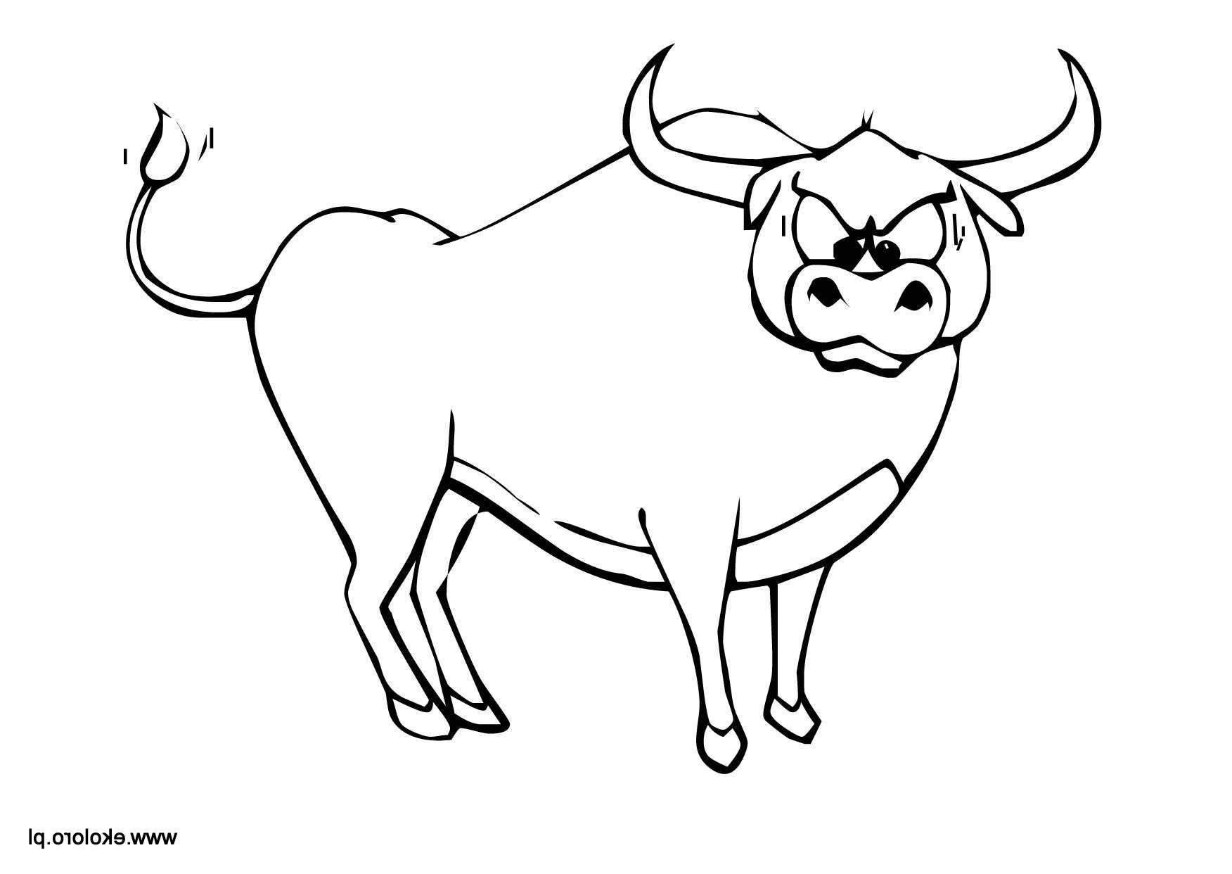 coloriage a dessiner de taureau en ligne