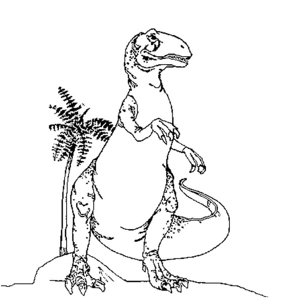 tyrannosaure rex coloriage
