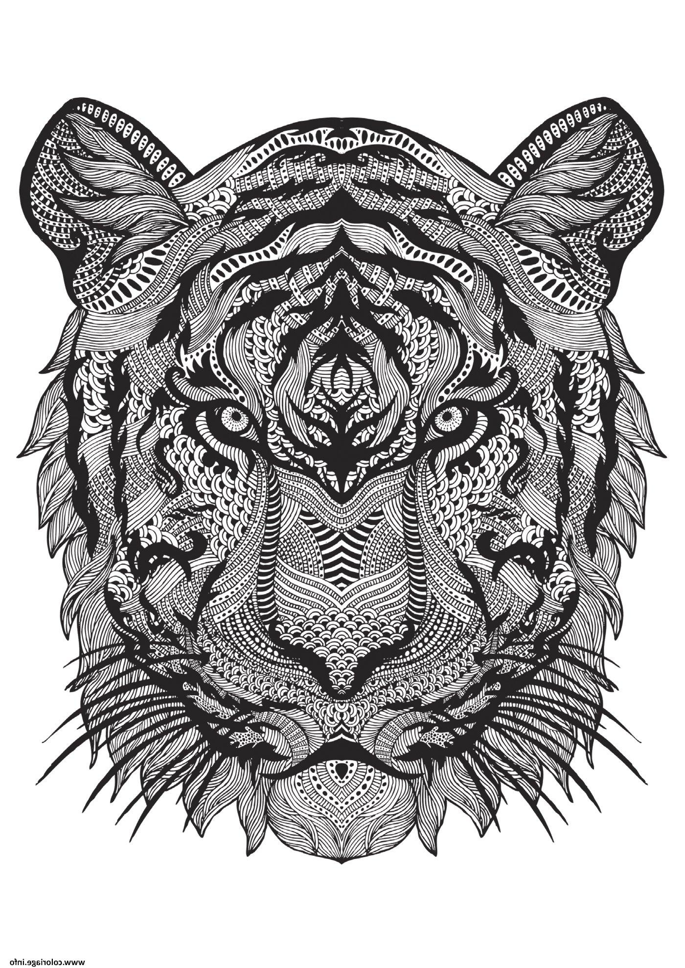 coloriage adulte animal tigre difficile antistress dessin a coloriage de mandala difficile a imprimer