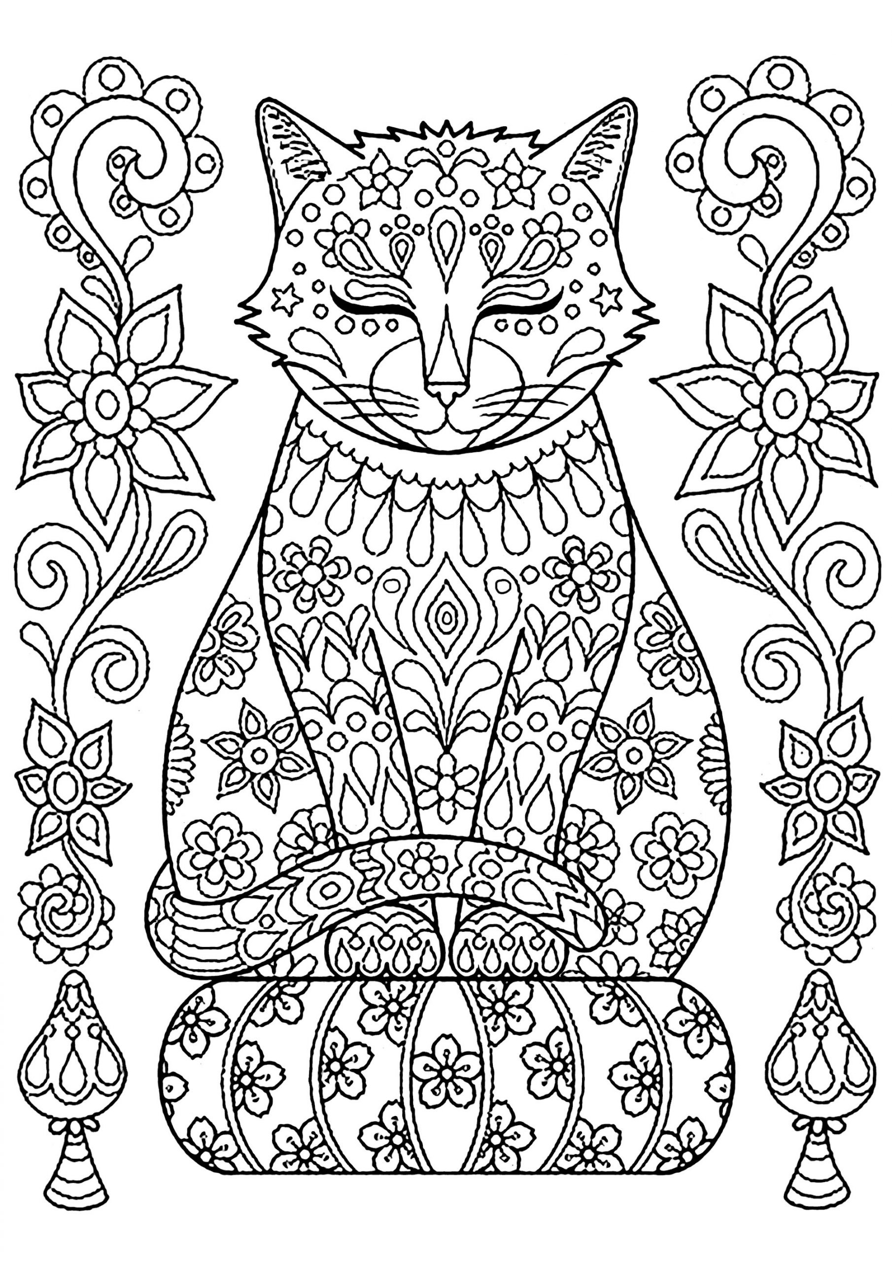 image=cats coloring cute cat on pillow with flowers 1