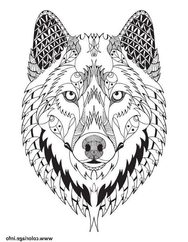magnifique loup mandala animal adulte coloriage dessin