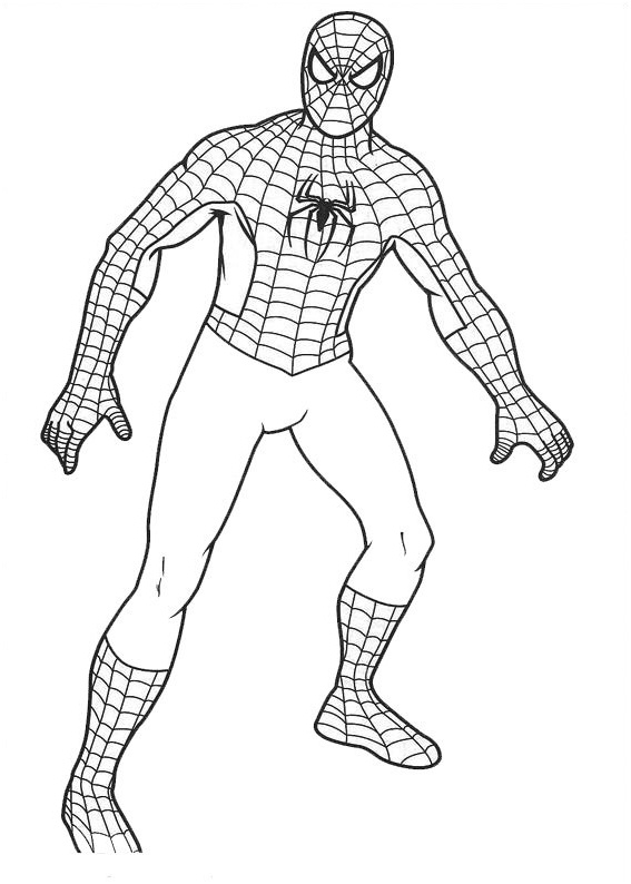 portrait spiderman facile