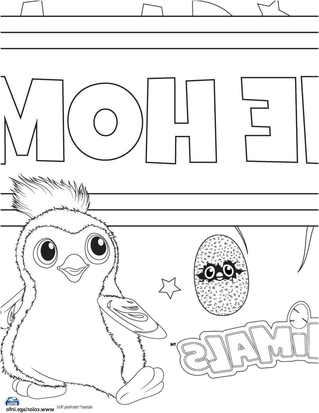 hatchimals coloring pages