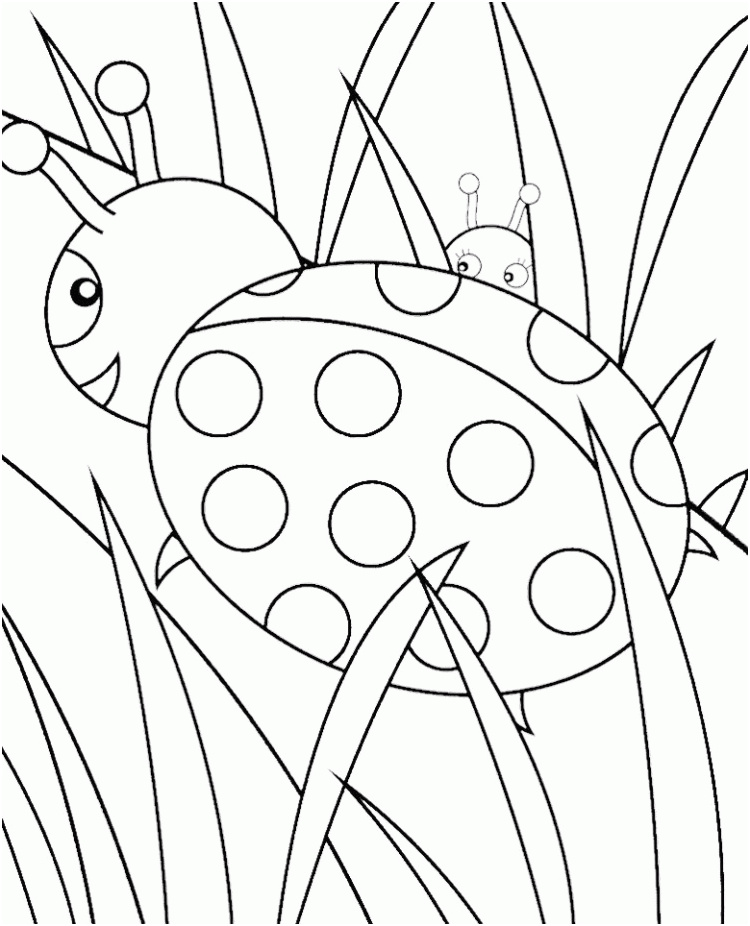 cute ladybug coloring pages