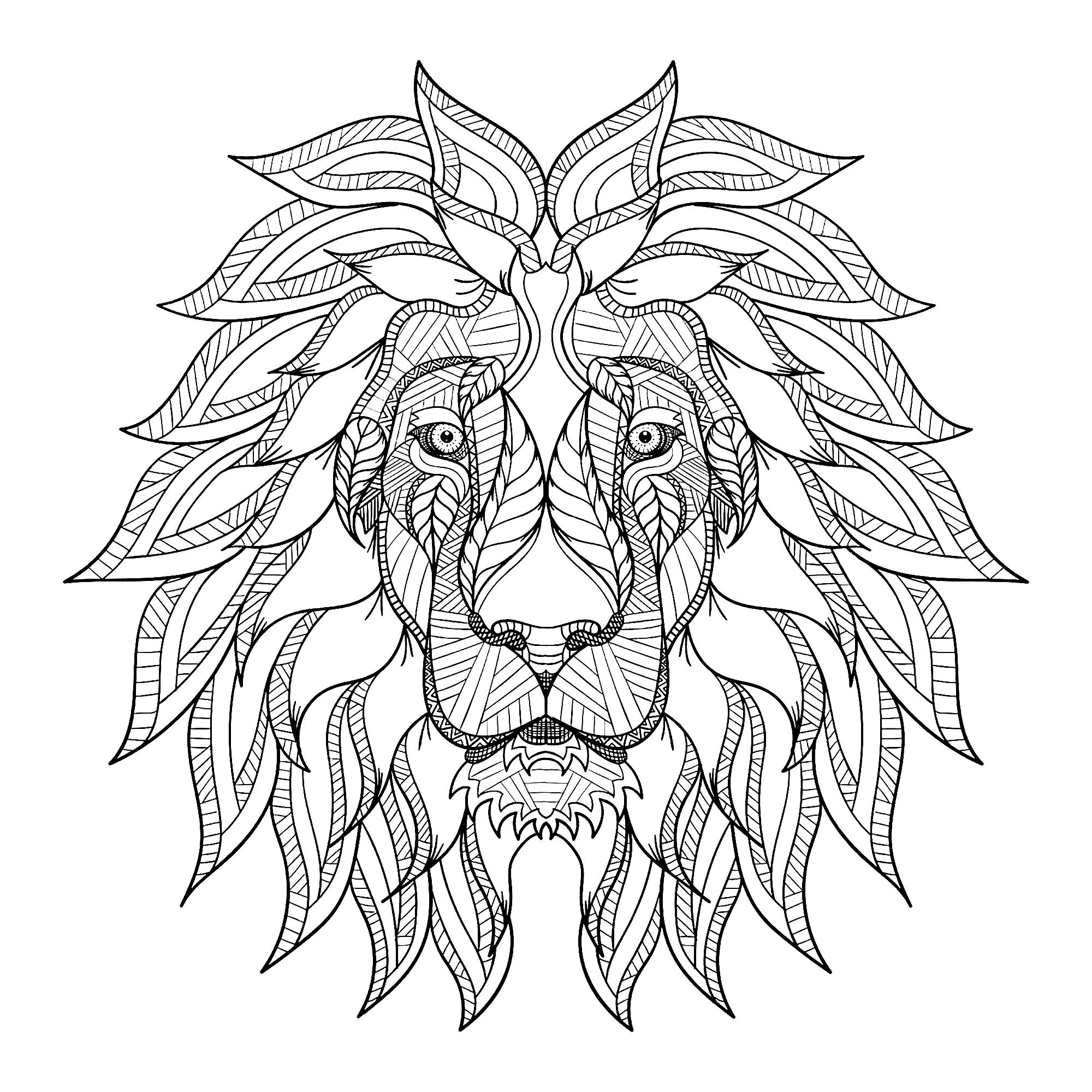 image=lions coloring lion head with big mane 1