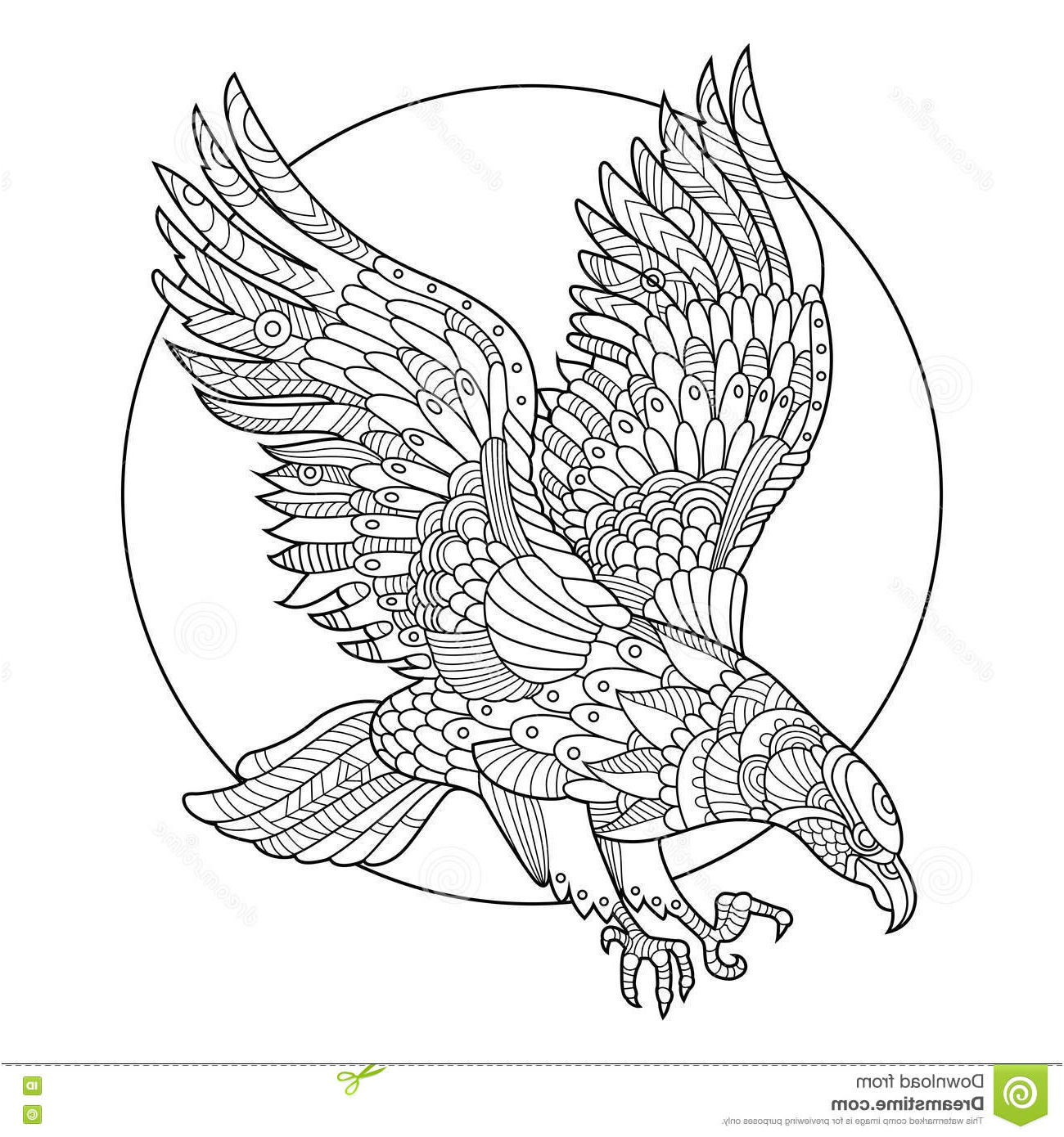 illustration stock livre coloriage d oiseau d eagle vecteur d adultes image