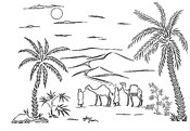 dessin palmier sahara