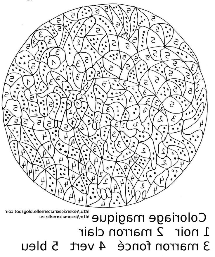 Générateur De Coloriage Magique Élégant 8 Excellent Générateur De Coloriage Magique